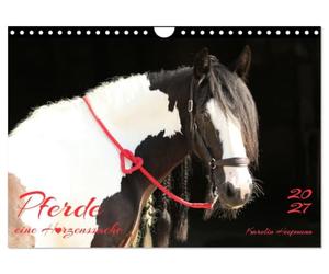 Calendrier 2027 · French Version · Les chevaux : une passion qui vient du | cœur · L'amour du cheval représenté sous la forme d'un cœur · DIN A4 paysage · CALVENDO Calendrier mural