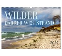 Calendrier 2027 · French Version · Plage sauvage de Darßer West | On pourrait presque se croire dans un autre monde, si magnifiquement sauvage · DIN A3 paysage · CALVENDO Calendrier mural