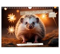 Calendrier 2027 · French Version · Stars à pics | Motifs de hérissons: un compagnon épineux à travers les saisons · DIN A4 paysage · CALVENDO Calendrier mural