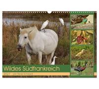 Calendrier 2027 · French Version · Sud de la France sauvage | Animaux et oiseaux uniques de ce · DIN A3 paysage · CALVENDO Calendrier mural