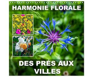 Calendrier 2027 · Harmonie Florale Des Prés aux Villes | Diverses variétés de fleurs, du jardin pubic à la prairie · 30 × 30 cm carré · CALVENDO Calendrier mural
