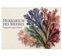 Calendrier 2027 · Herbier marin - L'art filigrané des algues | Sur du papier naturel clair, ces algues délicates dévoilent une surprenante… · DIN A4 paysage · CALVENDO Calendrier mural