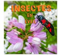Calendrier 2027 · INSECTES EN EVEIL | Gros plans sur diverses espèces d'insectes qui peuplent nos prairies · 30 × 30 cm carré · CALVENDO Calendrier mural