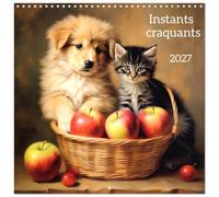 Calendrier 2027 · Instants craquants
