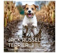 Calendrier 2027 · Jack Russel Terrier - Un plaisir confiant et sans peur | tout au long de l'année · Le chien de la famille · intelligent, vif et joyeux · 30 × 30 cm carré · CALVENDO Calendrier mural