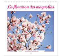 Calendrier 2027 · La floraison des magnolias | De magnifiques portraits de fleurs lumineuses · 30 × 30 cm carré · CALVENDO Calendrier mural