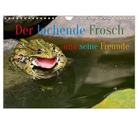 Calendrier 2027 · La grenouille qui rit et ses amis | Ça m'a fait rire aussi, et j'ai failli laisser tomber l'appareil photo · DIN A4 paysage · CALVENDO Calendrier mural