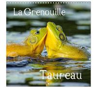 Calendrier 2027 · LA GRENOUILLE TAUREAU | La grenouille taureau est appelée Ouaouaron au Québec · C’est la plus grosse… · 30 × 30 cm carré · CALVENDO Calendrier mural