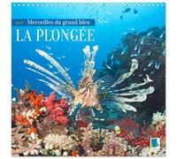 Calendrier 2027 · La plongée : merveilles du grand bleu | Objet de fascination : plonger dans le grand bleu · 30 × 30 cm carré · CALVENDO Calendrier mural