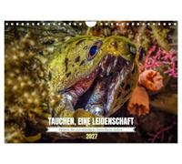 Calendrier 2027 · LA PLONGÉE, UNE PASSION | Une année placée sous le signe des mondes sous-marins · DIN A4 paysage · CALVENDO Calendrier mural