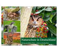 Calendrier 2027 · La protection de la nature en Allemagne | Animaux strictement protégés · que l'on observe désormais rarement · DIN A4 paysage · CALVENDO Calendrier mural