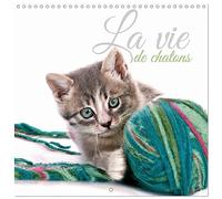 Calendrier 2027 · La vie de chatons