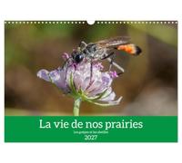 Calendrier 2027 · La vie de nos prairies - Les guêpes et les abeilles