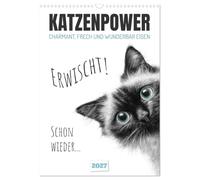 Calendrier 2027 · Le charme des chats : charmants, espiègles et | merveilleusement uniques · Réflexions amusantes tirées du quotidien des chats · DIN A3 portrait · CALVENDO Calendrier mural
