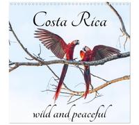Calendrier 2027 · Le Costa Rica, un pays sauvage et paisible | Des rencontres saisissantes avec la faune sauvage dans les régions tropicales… · 30 × 30 cm carré · CALVENDO Calendrier mural