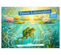 Calendrier 2027 · Le cycle de vie de la grenouille | Le développement des grenouilles dans l'étang · De l'œuf à la grenouille : un… · DIN A4 paysage · CALVENDO Calendrier mural