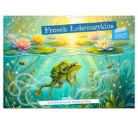 Calendrier 2027 · Le cycle de vie de la grenouille | Le développement des grenouilles dans l'étang · De l'œuf à la grenouille : un… · DIN A3 paysage · CALVENDO Calendrier mural