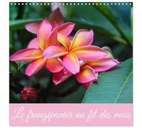 Calendrier 2027 · Le frangipanier au fil des mois | Macrophotographies de frangipaniers aussi appelé plumerias · 30 × 30 cm carré · CALVENDO Calendrier mural