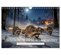 Calendrier 2027 · Les aventures nocturnes des ratons laveurs | Quand les petites pattes ont soif de grandes aventures · DIN A4 paysage · CALVENDO Calendrier mural