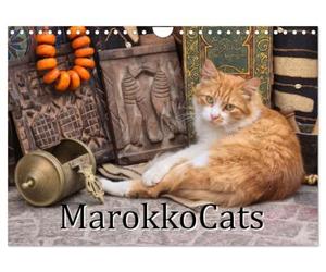 Calendrier 2027 · Les chats du Maroc | Portraits d'adorables chats marocains · DIN A4 paysage · CALVENDO Calendrier mural