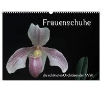 Calendrier 2027 · Les chaussures pour femmes : les plus belles orchidées du | monde · Les chaussures pour femmes : les plus belles orchidées du monde · DIN A3 paysage · CALVENDO Calendrier mural