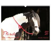 Calendrier 2027 · Les chevaux : une passion qui vient du cœur
