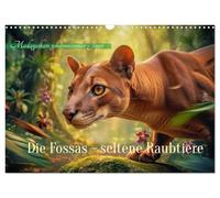 Calendrier 2027 · Les fossas : des prédateurs rares | Le chasseur mystérieux de Madagascar · DIN A3 paysage · CALVENDO Calendrier mural