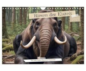 Calendrier 2027 · Les géants de la période glaciaire | Une année riche en moments mémorables · Découvrez les majestueux mammouths dans… · DIN A4 paysage · CALVENDO Calendrier mural