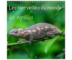 Calendrier 2027 · Les merveilles du monde les reptiles | Portraits variés de reptiles caméléons, geckos, et iguanes · 30 × 30 cm carré · CALVENDO Calendrier mural
