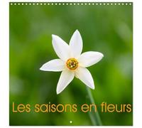 Calendrier 2027 · Les saisons en fleurs