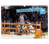 Calendrier 2027 · Les travailleurs en action | Dans cette épreuve d'équitation de travail, ce sont les fautes et le temps qui… · DIN A3 paysage · CALVENDO Calendrier mural