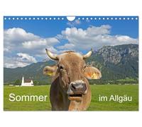 Calendrier 2027 · L'été dans l'Allgäu | Paysages de montagne, bâtiments historiques et vaches · DIN A4 paysage · CALVENDO Calendrier mural