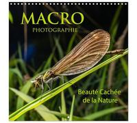 Calendrier 2027 · MACRO PHOTOGRAPHIE Beauté Cachée de la Nature | La macro photographie d'insectes est une discipline fascinante qui permet… · 30 × 30 cm carré · CALVENDO Calendrier mural