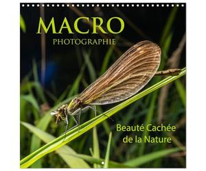 Calendrier 2027 · MACRO PHOTOGRAPHIE Beauté Cachée de la Nature | La macro photographie d'insectes est une discipline fascinante qui permet… · 30 × 30 cm carré · CALVENDO Calendrier mural