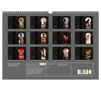 Calendrier 2027 · Mon trou de serrure secret