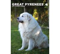 Calendrier 2027 motif chien des Pyrénées - Format A3 - En couleur - Reliure à spirales (CRU)
