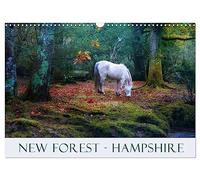 Calendrier 2027 · New Forest Hampshire | La New Forest, dans le Hampshire, avec ses landes et ses poneys sauvages, est… · DIN A3 paysage · CALVENDO Calendrier mural