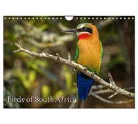 Calendrier 2027 · Oiseaux d'Afrique du Sud