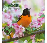 Calendrier 2027 Oiseaux mesange rouge gorgre AVEC MAXI POSTER 30X60cm (tsh ap) + offert un agenda de poche