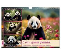 Calendrier 2027 · Panda géant douillet | L'ours vivant végétarien en Chine · DIN A4 paysage · CALVENDO Calendrier mural