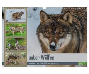 Calendrier 2027 · parmi les loups | Une année passée à suivre les loups à travers l'objectif · DIN A3 paysage · CALVENDO Calendrier mural