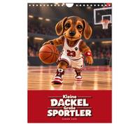 Calendrier 2027 · Petits teckels, grands sportifs | Douze aventures sportives avec Motte et Lui · DIN A4 portrait · CALVENDO Calendrier mural