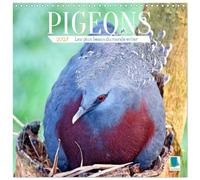 Calendrier 2027 · Pigeons : les plus beaux du monde entier | La colombe : plumage multicolore et magnifique couronne de plumes · 30 × 30 cm carré · CALVENDO Calendrier mural