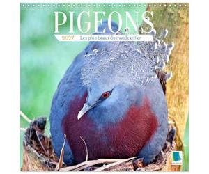Calendrier 2027 · Pigeons : les plus beaux du monde entier | La colombe : plumage multicolore et magnifique couronne de plumes · 30 × 30 cm carré · CALVENDO Calendrier mural
