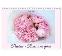 Calendrier 2027 · Pivoines - Roses sans épines