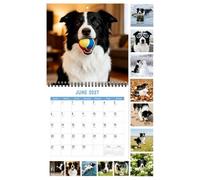 Calendrier 2027 Planificateur Mensuel Drôle En Avec Chien