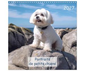Calendrier 2027 · Portraits de petits chiens | Préparez-vous à douze mois de bonheur inconditionnel avec les chiens de… · 30 × 30 cm carré · CALVENDO Calendrier mural