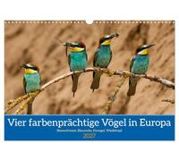 Calendrier 2027 · Quatre oiseaux aux couleurs chatoyantes en Europe | Quatre oiseaux exceptionnels d'Europe · DIN A3 paysage · CALVENDO Calendrier mural