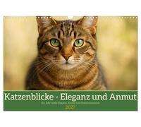 Calendrier 2027 · Regards de chats - Élégance et grâce | Des images de chats artistiques pour toute l'année · DIN A3 paysage · CALVENDO Calendrier mural