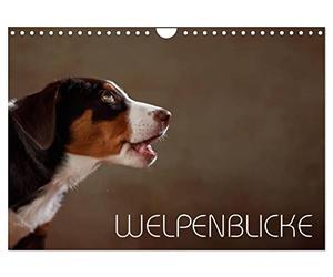 Calendrier 2027 · Regards de chiots | Des regards de chiots immortalisés par l'objectif · DIN A4 paysage · CALVENDO Calendrier mural